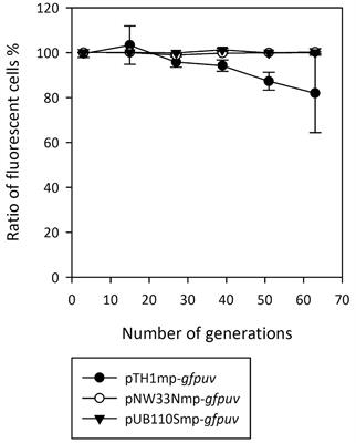 Frontiers | Genome-Based Genetic Tool Development for